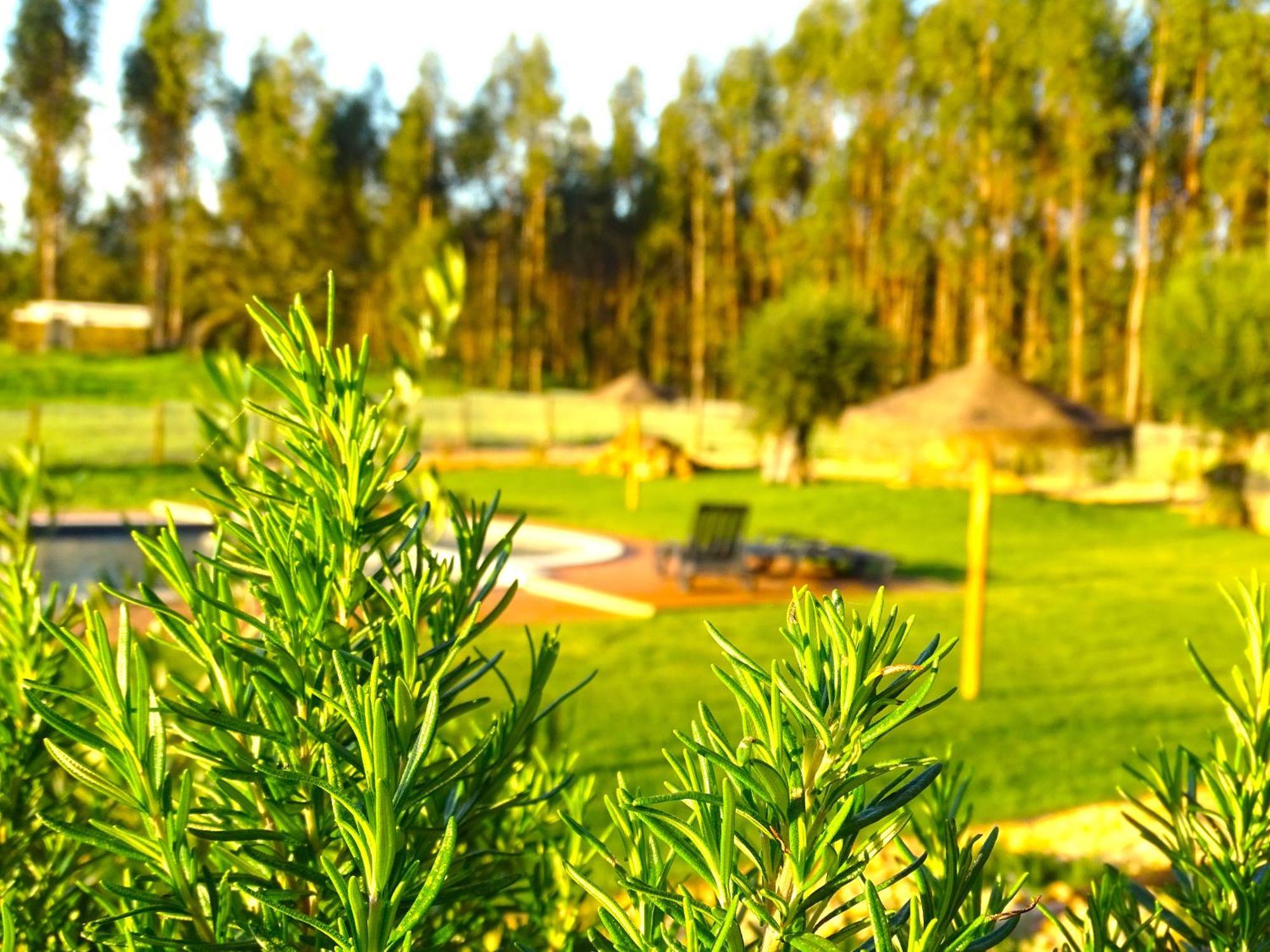Herdade Vale De Gaios By Stay In Alentejo São Luis Exterior photo